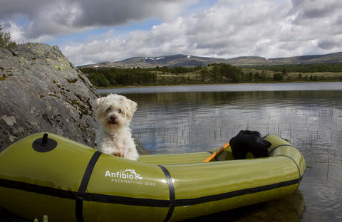 Hund i packraft — liten hund på padletur i en Anfibio-packraft. Foto: Lisa-Kristin Schrötter.
